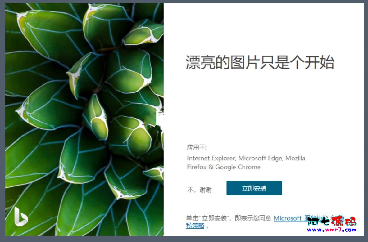 Bing Wallpaper微软壁纸v2.0.1.4 中文多语版--阿七|阿七源码|建站源码|小程序源码|模板|下载阿七源码